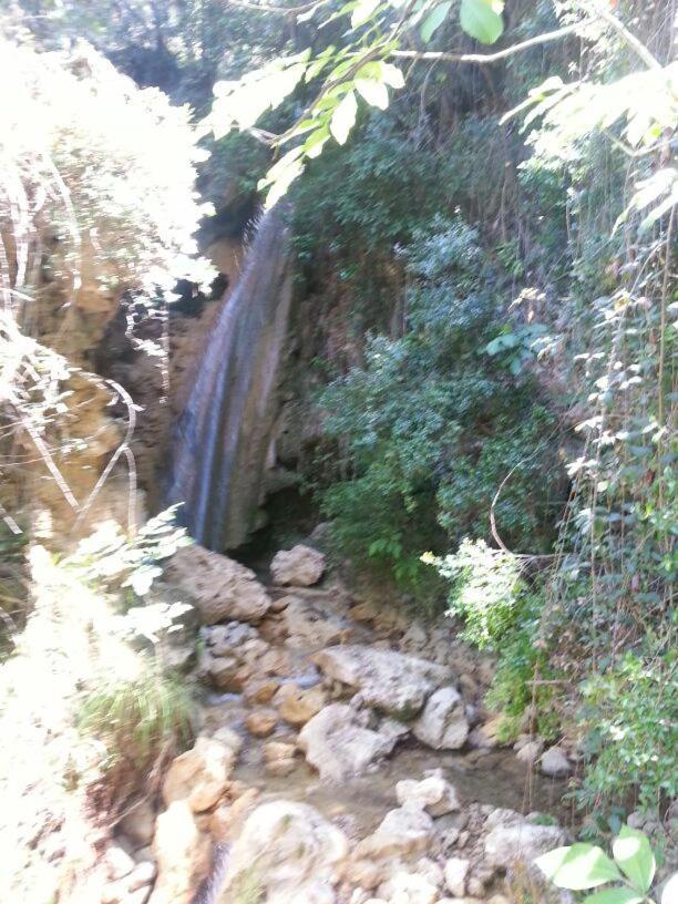 Hotel Pensión Rural Arroyo la Teja Arroyo Frío Exterior foto